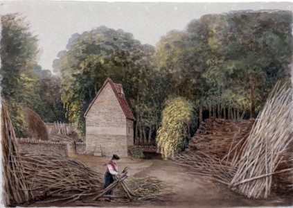 Dove House looking South